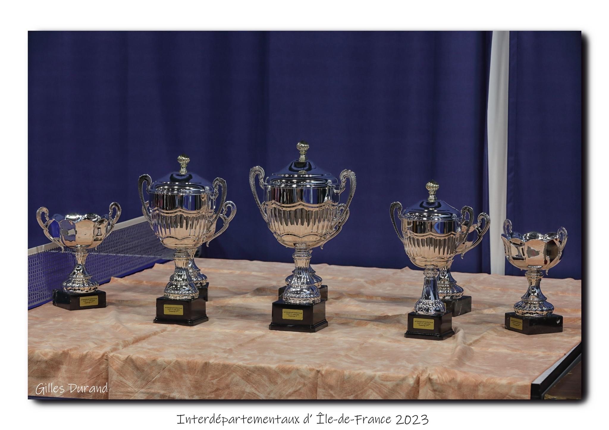 Poste De CTD Comit D partemental De Tennis De Table De L Essonne